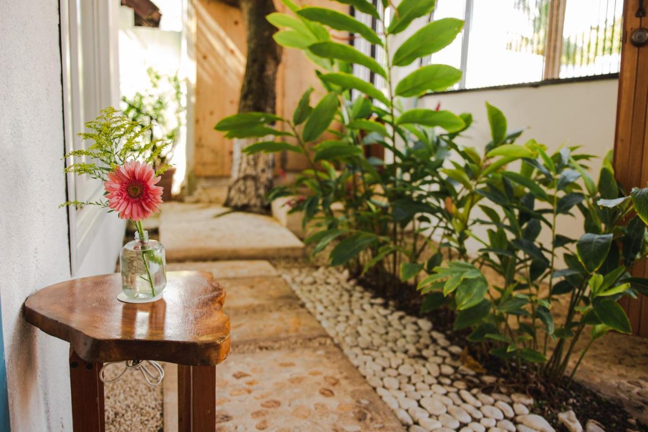 Hotel Selva Maya 巴卡拉尔 外观 照片