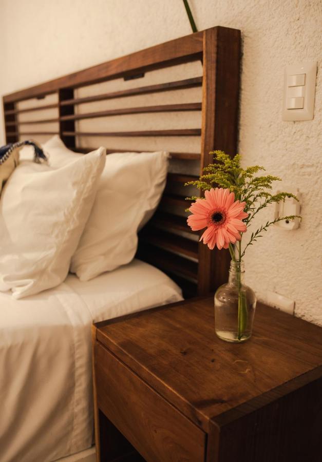 Hotel Selva Maya 巴卡拉尔 外观 照片