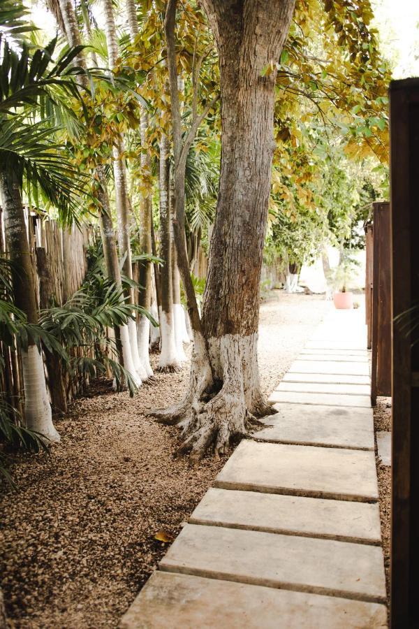 Hotel Selva Maya 巴卡拉尔 外观 照片